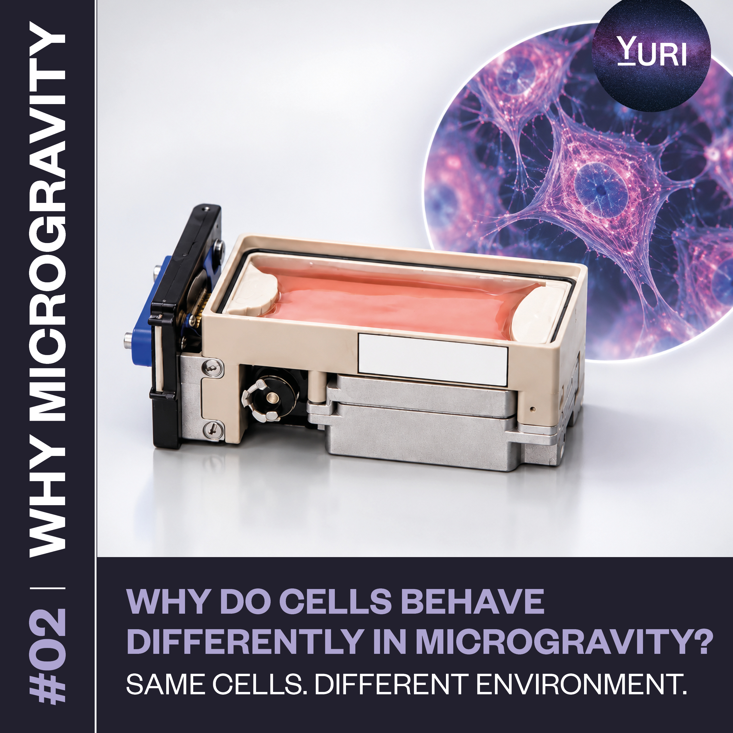 02-why-microgravity.jpg