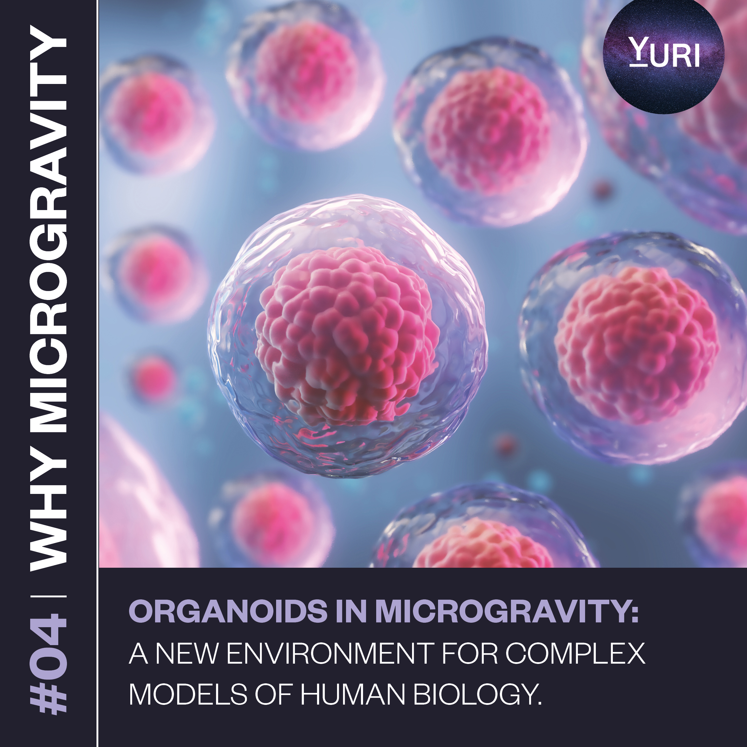 04-why-microgravity.jpg
